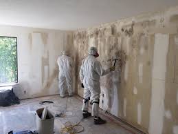 Best Attic Mold Removal  in Crugers, NY